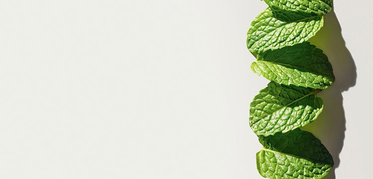 close up of mint of which scent is contained in Origins Ginger products