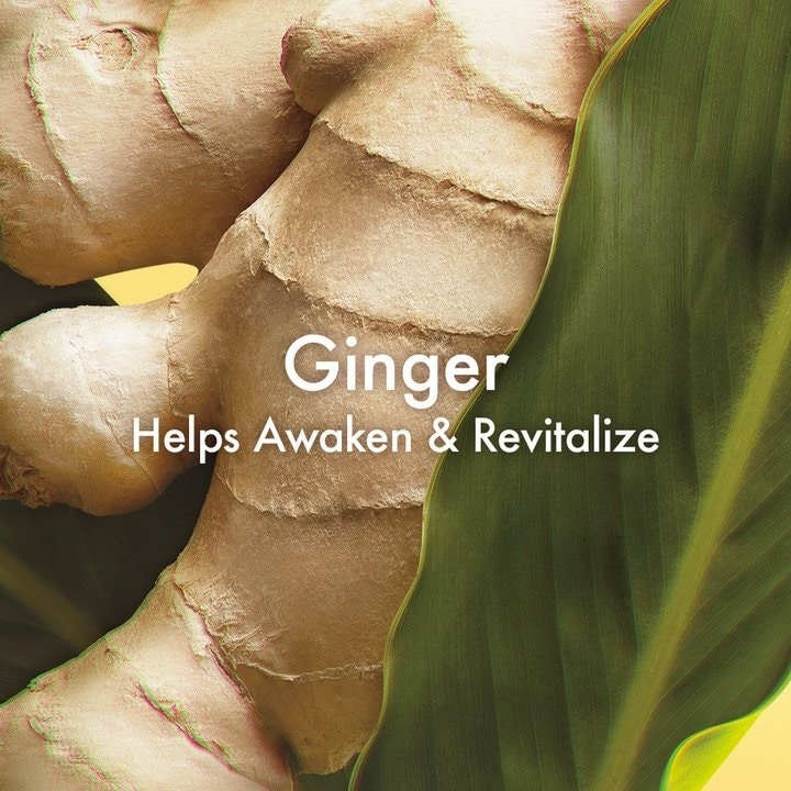 Ginger Essence™