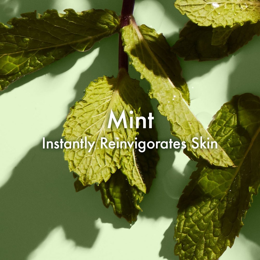 origins mint face wash