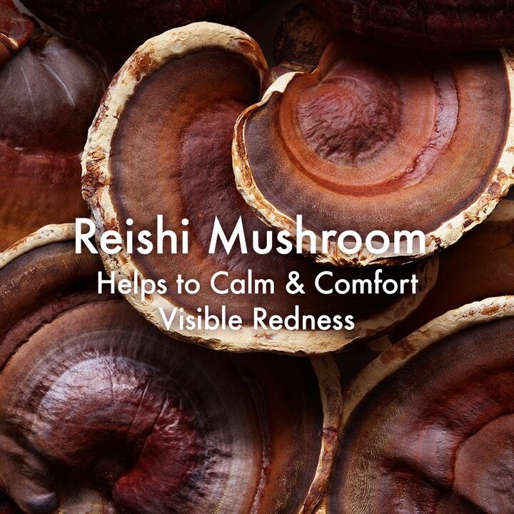 Download Dr Andrew Weil For Origins Mega Mushroom Relief Resilience Soothing Face Mask Origins PSD Mockup Templates