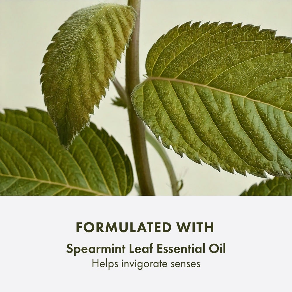 Checks and Balances™